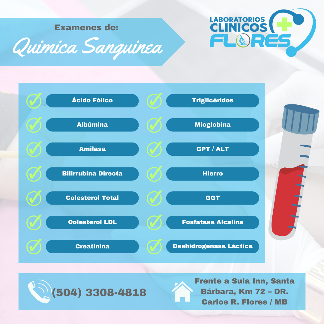 Química Sanguínea 1